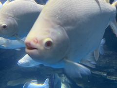 -多彩贵州城极地海洋世界