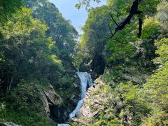 -石台牯牛降景区