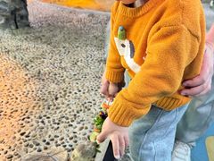 -上海大自然野生昆虫馆(东方明珠·爬宠昆虫探索中心)
