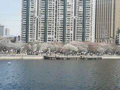 -西北湖绿化广场