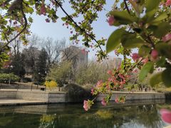 -元大都城垣遗址公园