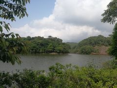 -广州市石门国家森林公园