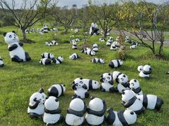 -上海海湾国家森林公园