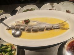 鸡汁葱油蒸大湖白鱼-湖里春风·淮扬菜(丽泽天街店)