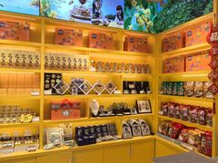 -金顺昌桂林桂花伴手礼(正阳一店)