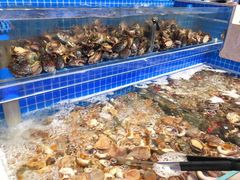 -乔哥铭洋海鲜自助(皇城恒隆广场店)