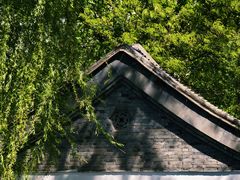 -尚庄度假村·庭台树下·户外烧烤·团建CS·轰趴营地(上庄水库店)