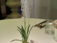-金链花·泰国餐厅(国贸店)