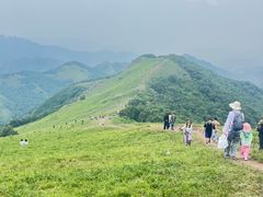-灵山