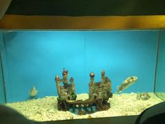 -北戴河圣蓝海洋公园