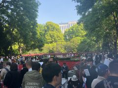 -人民公园-相亲角