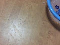 -彩虹云霄酒店76&78层国际自助餐