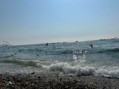 -银沙滩浴场
