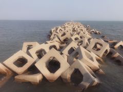 -东疆建设开发纪念公园