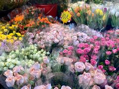 -循礼门鲜花花市(武汉循礼门店)