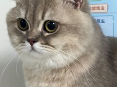 -贝康宠物医院·犬猫全科·小动物特色诊疗中心(东环路店)