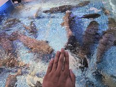 -驻海渔市(置信店)