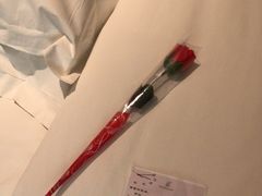 -张掖华辰国际大酒店