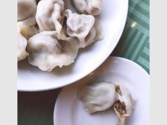 牛肉大葱饺子-八珍饺子·烤鸭·家常菜