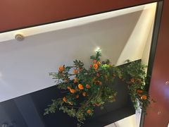 -将军府·鸡毛店(武侯祠店)