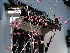 -上海醉白池公园
