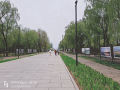 -野鸭湖国家湿地公园