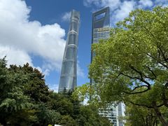 -智慧盲人按摩艾灸-颈肩腰膝疼痛调理(浦东店)