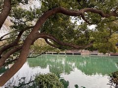 -乌镇东栅景区
