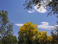 -东郊湿地公园