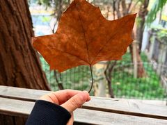 -CAFE CHEZ W一木家(香山路店)