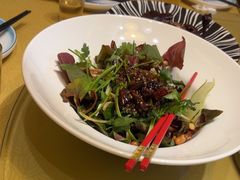 -厨掌柜长寿菜馆(古镇店)