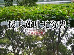 -西湖游船