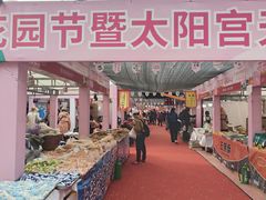 -太阳宫公园
