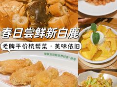 -新白鹿餐厅(龙游路总店·杭帮菜名店)