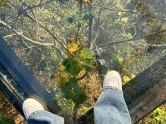 -云碧峰国家森林公园