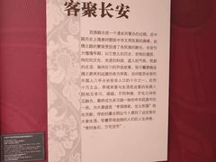 -西安大唐西市博物馆