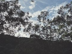 -广州市白云山风景名胜区