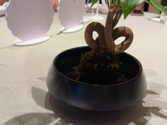 -漢舍中国菜馆(浦东嘉里城店)