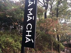 -MAMACHA妈妈茶(岳麓山店)