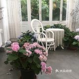 里面桌子上的花都是真花来的，看得出很用心