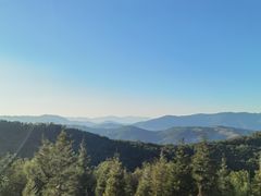 -长虫山生态公园风景林