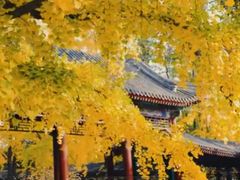 -回龙观体育文化公园