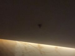 -华夏良子·足道SPA艾灸(翠微店)