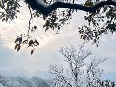 -紫藤园·天目湖大鱼头(南山竹海店)