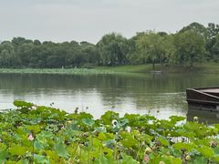 -湘湖大院(越王路店)