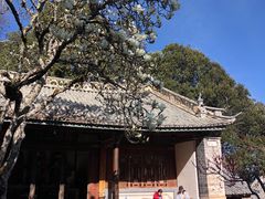 -巍山古城