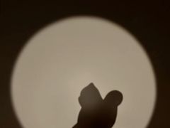 -BEAST野兽派(上海浦东嘉里城店)