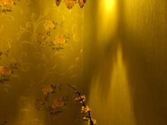 -域SPA·足疗·按摩·养生(静安寺店)