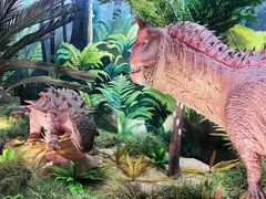 -陕西自然博物馆