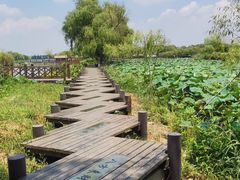 -焦岗湖旅游度假区